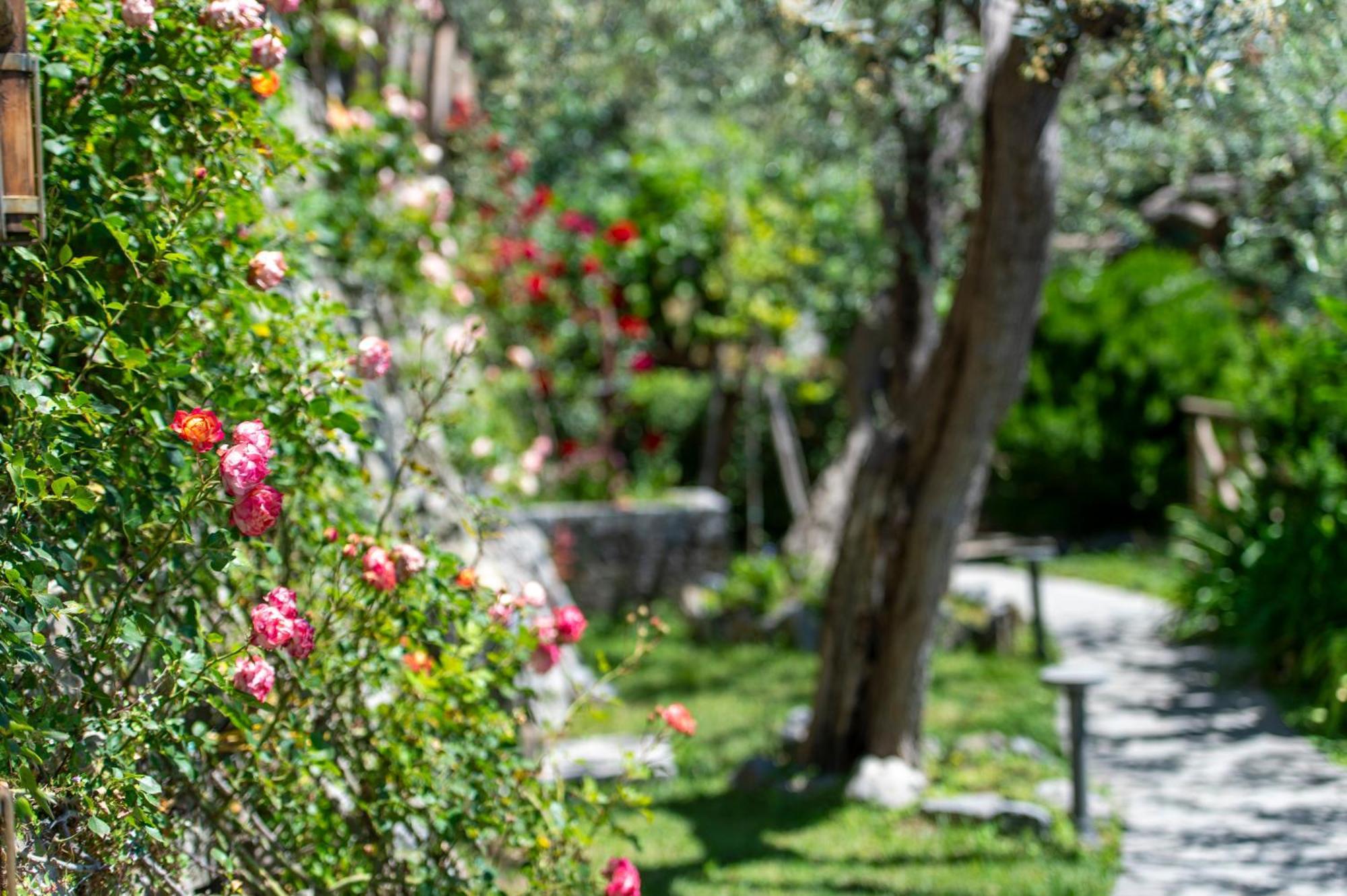 Le Contrade By Sosore Holiday Homes -Amalfi Coast Furore Camera foto