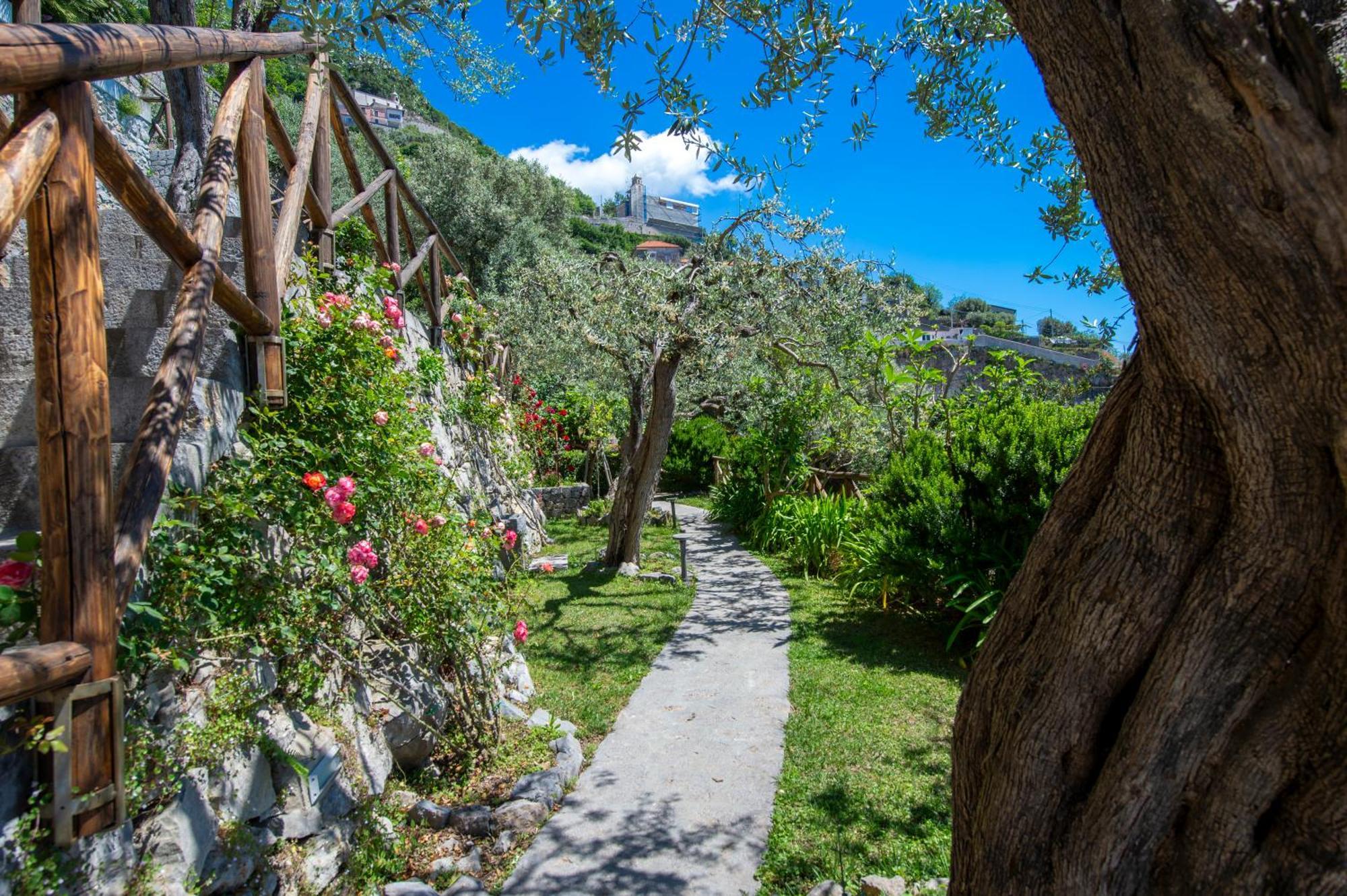 Le Contrade By Sosore Holiday Homes -Amalfi Coast Furore Camera foto