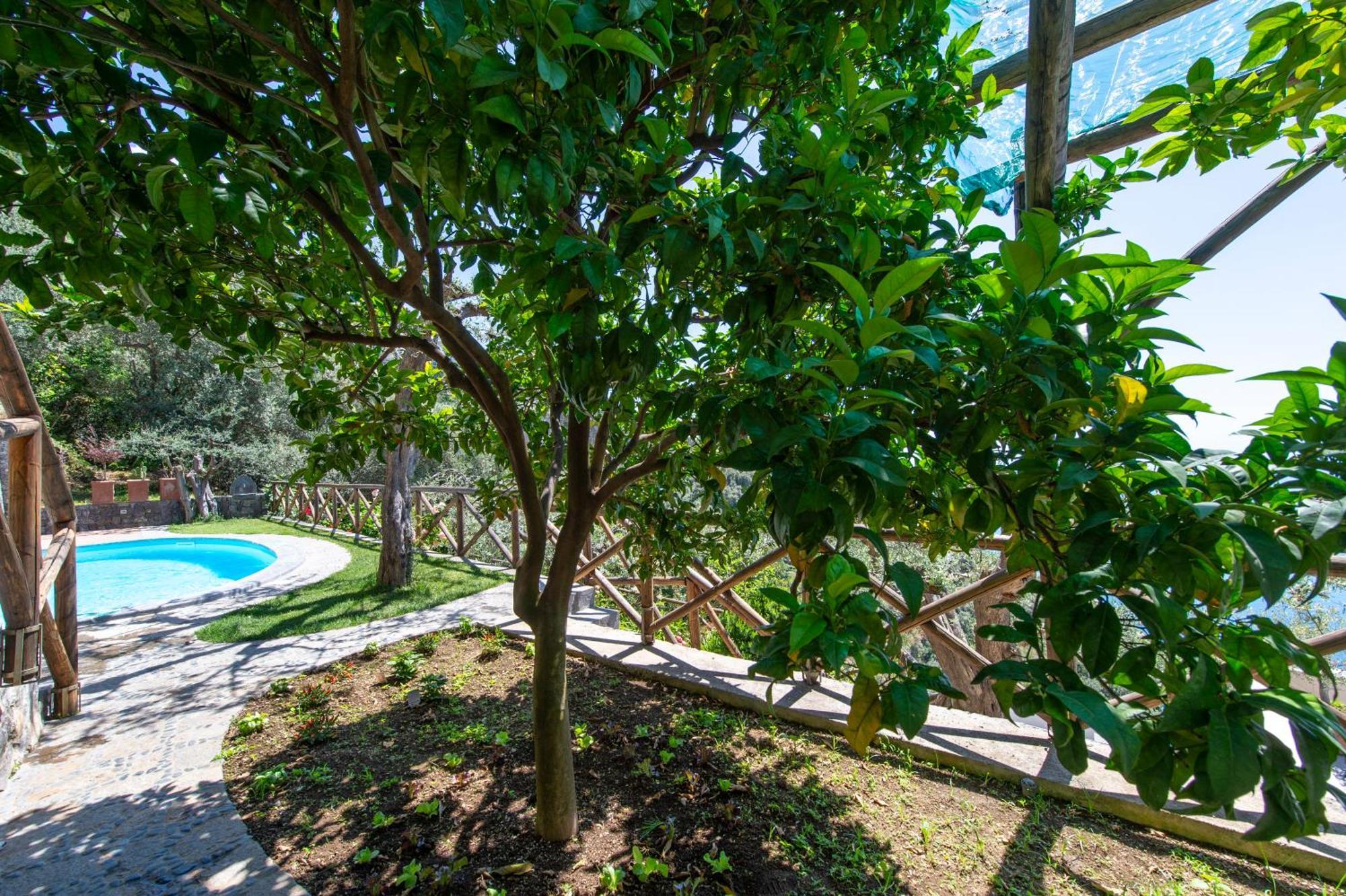 Le Contrade By Sosore Holiday Homes -Amalfi Coast Furore Camera foto