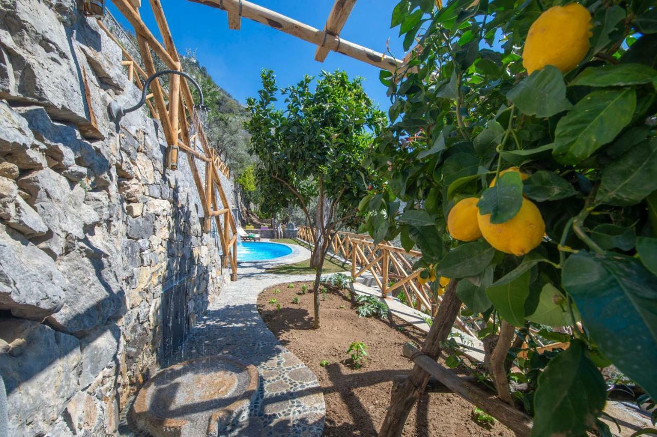 Le Contrade By Sosore Holiday Homes -Amalfi Coast Furore Esterno foto